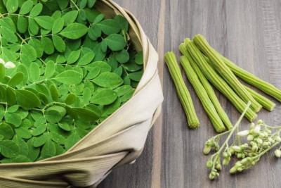Manfaat Daun Kelor untuk Kesehatan dan Kecantikan