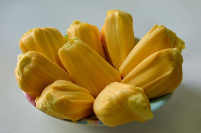 Manfaat Buah Nangka Bagi Penderita Diabetes