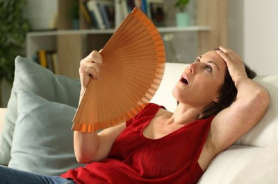 Bagaimana Diet Memengaruhi Hormon Selama Menopause