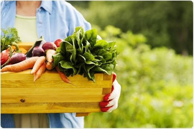 manfaat konsumsi makanan organik