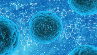 Mengenal Lebih Jauh Wabah Virus Marburg