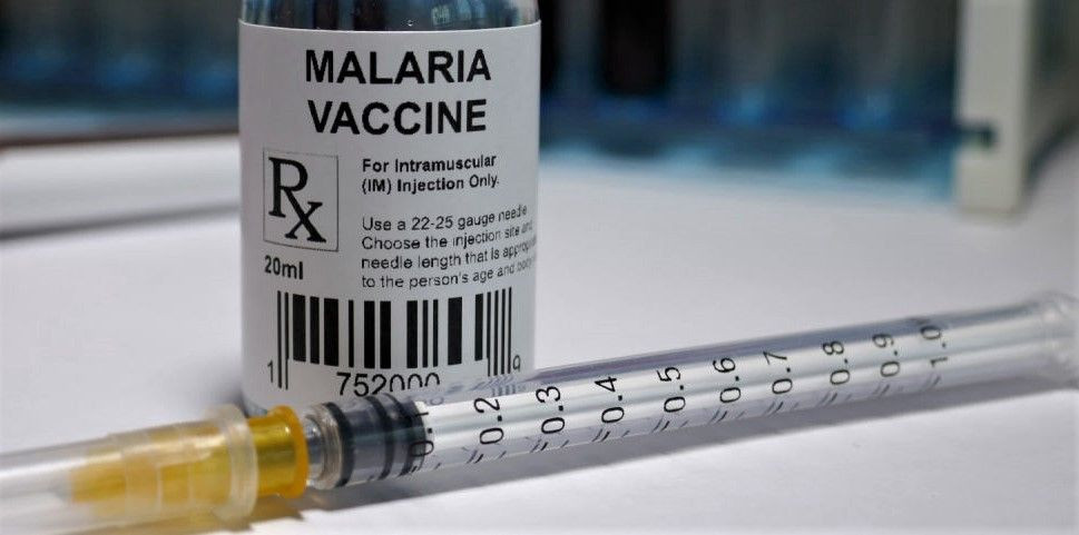 Ilustrasi vaksin malaria