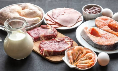 Ini Peran Protein Hewani pada Penderita TBC