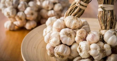 Bolehkah Konsumsi Bawang Putih Bagi Ibu Hamil?