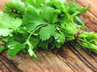 Manfaat Mengonsumsi Daun Ketumbar