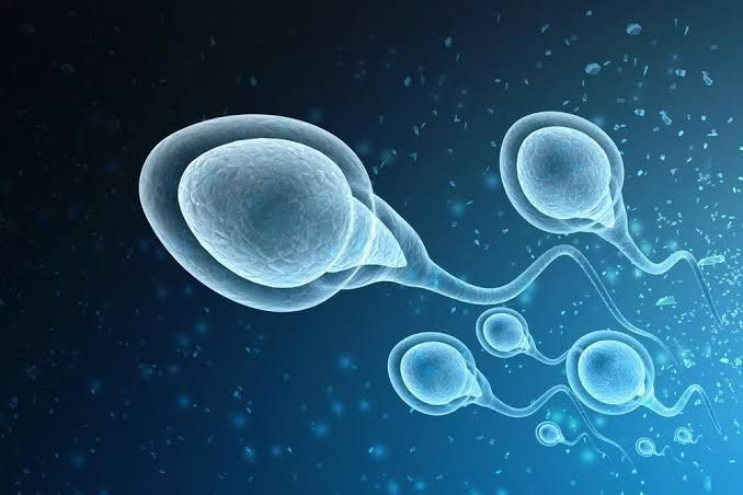Cara Mengatasi Jumlah Sperma yang Berkurang