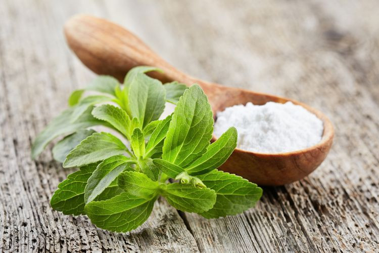 gula stevia