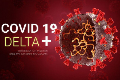 Varian COVID-19 Delta Plus Terus Dipantau, Berpotensi Lebih Menular