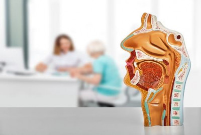 Infeksi Sinus vs Flu Biasa: Begini Cara Membedakanya