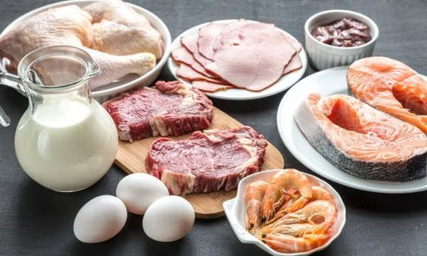 Makanan mengandung protein
