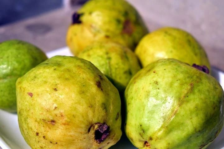 Jambu biji