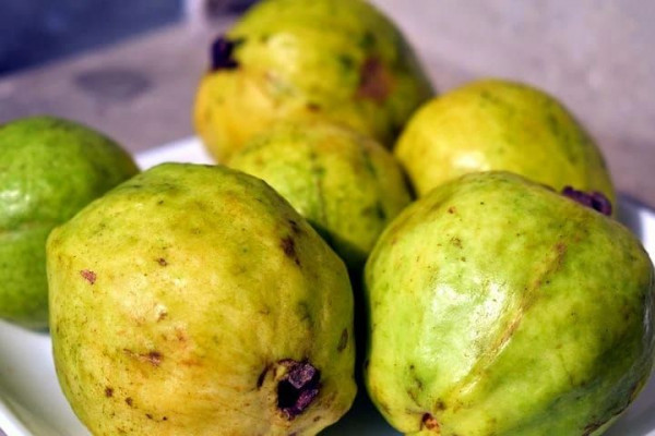 Jambu biji