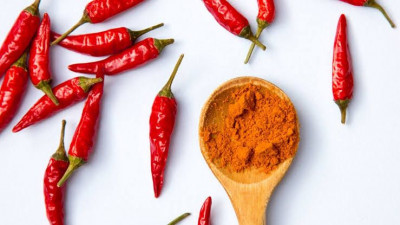 Bahan Alami yang Bisa Digunakan Sebagai Antibiotik
