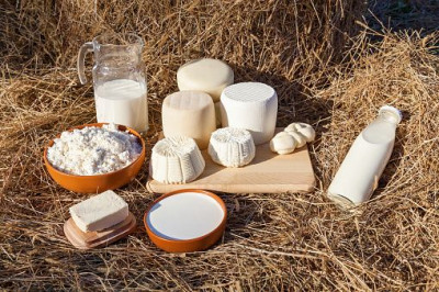 Manfaat dan Kandungan Susu Kambing Formula Untuk Anak