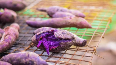 Khasiat Ubi Ungu Sebagai Makan Sehat Favorit Baru