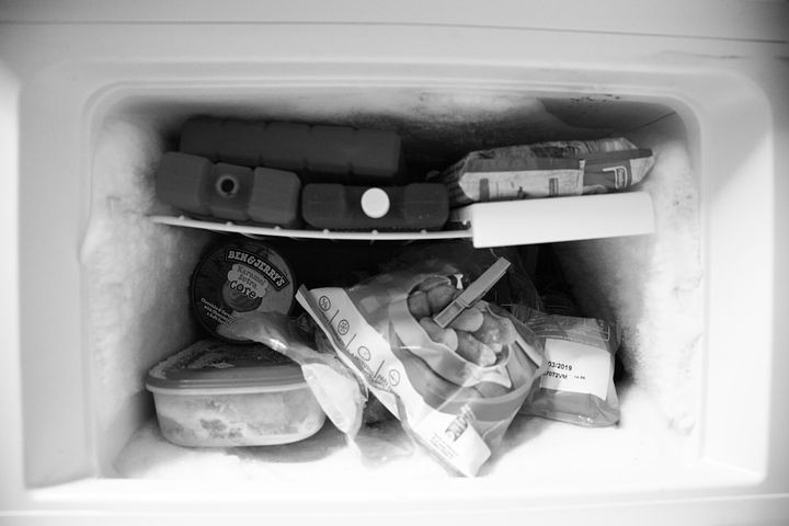Makanan dalam freezer