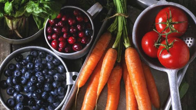 Pentingnya Nutrisi Esensial dalam Tubuh