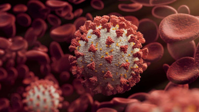 Ditemukan Varian Baru Virus Corona, Lebih Ganas?