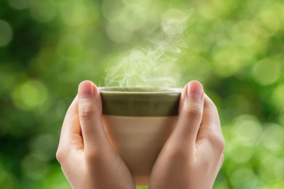 Sembuhkan Diare Dengan Minum Teh Pahit