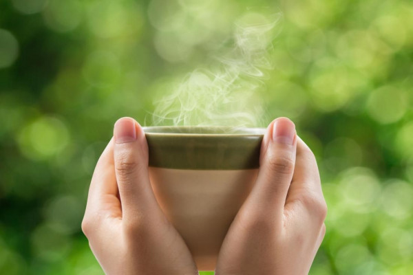  Sembuhkan Diare Dengan Minum Teh Pahit