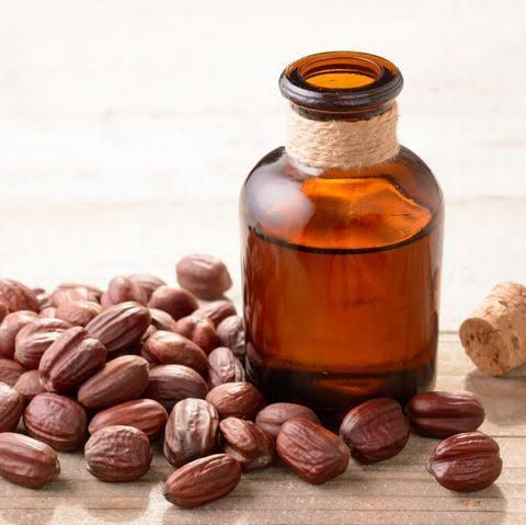 Minyak jojoba