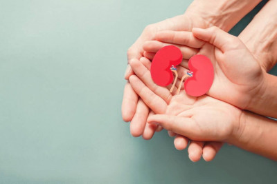 4 Tips yang Bisa Dilakukan untuk Menjaga Kesehatan Ginjal