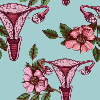 Museum Vagina Pertama di Dunia Segera Dibuka, Apa yang Dipamerkan?