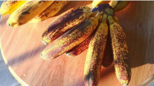 Pisang yang Terlalu Matang ternyata Memiliki Banyak Nutrisi