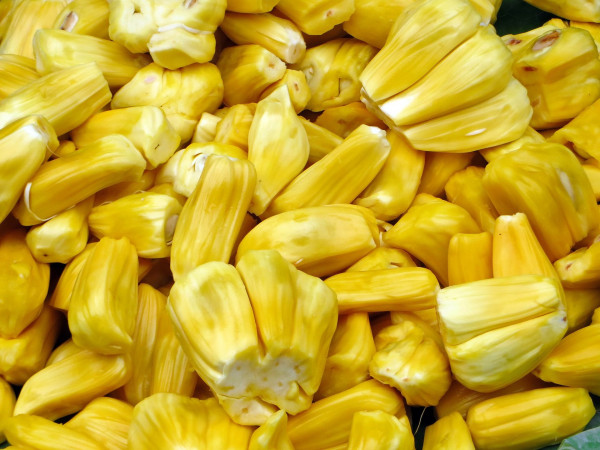 Buah Nangka Ampuh Bunuh Sel Kanker