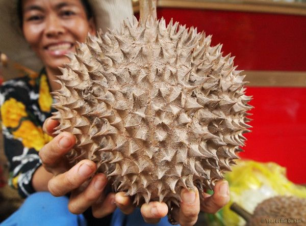 Suka Durian? Perhatikan Dulu Kandungannya