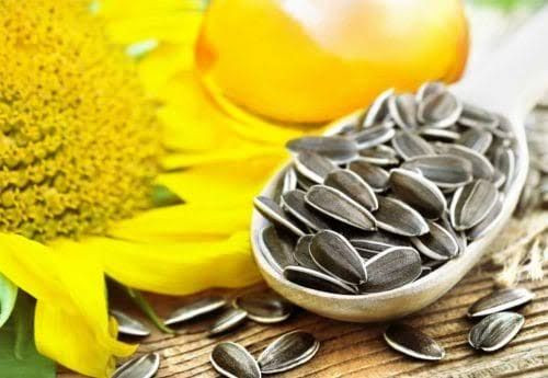 Ini Pentingnya Vitamin F Bagi Tubuh