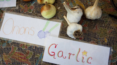Sederet Manfaat Bawang Putih untuk Anak