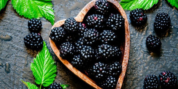 5 Manfaat Buah Blackberry yang Mungkin Tidak Anda Ketahui