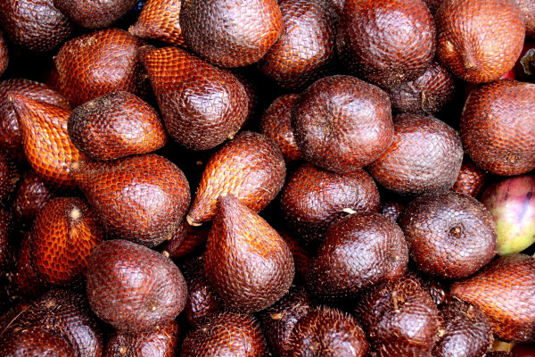 Wajib Tahu! Ini Khasiat Buah Salak Bagi Kesehatan yang Jarang Diketahui