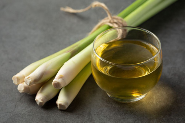 manfaat minum air rebusan serai, manfaat minum rebusan serai, manfaat rebusan daun serai, manfaat rebusan jahe dan serai, manfaat minum air rebusan serai setiap hari, apa manfaat rebusan serai, yesdok