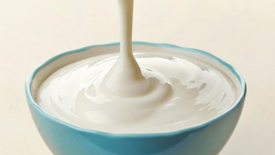 Manfaat Bakteri Pada Yogurt