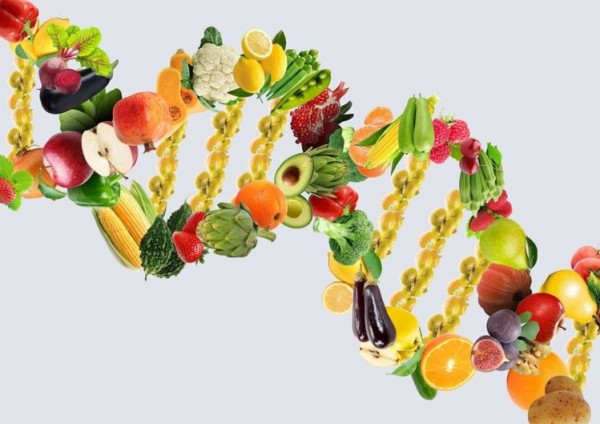 Pentingnya Nutrisi untuk Mendukung Kesehatan Mental