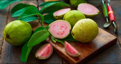 Manfaat Kesehatan dari Jambu Biji