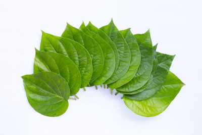 MANFAAT DAUN SIRIH BAGI TUBUH 