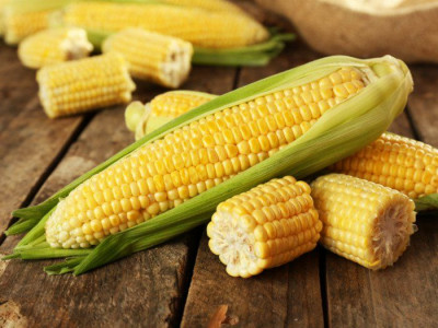 Kelebihan dan Kekurangan Mengkonsumsi Jagung