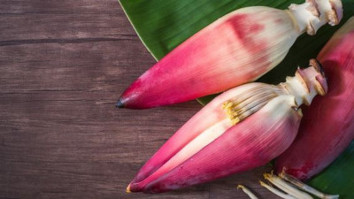 SIMAK 6 MANFAAT KONSUMSI JANTUNG PISANG BAGI KESEHATAN YUK! 