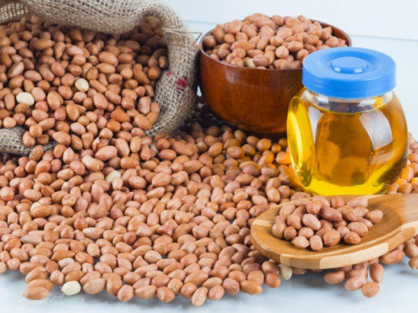 Benarkah Minyak Kacang Tidak Memiliki Efek Samping?