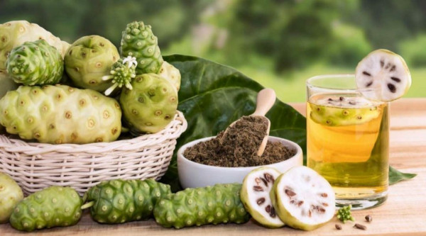 Manfaat Kesehatan dari Jus Buah Mengkudu