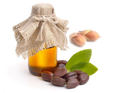 Ini Manfaat Minyak Jojoba untuk Perawatan Kulit