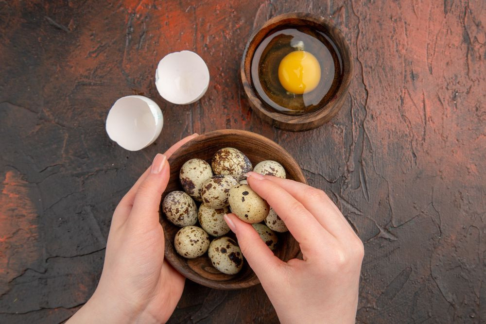 manfaat telur puyuh, manfaat telur puyuh untuk bayi, manfaat telur puyuh untuk anak, yesdok