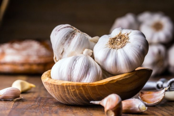 Manfaat Bawang Putih dan Khasiatnya