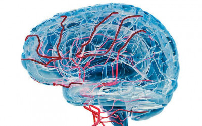 Peneliti Kembangkan Teknologi yang Bisa Deteksi Alzheimer Jauh Lebih Dini