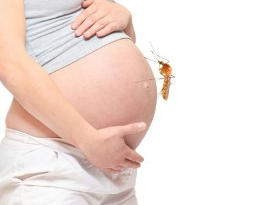 5 Hal yang Perlu Diketahui tentang Zika dan Kehamilan