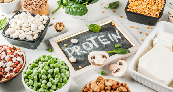 Mengapa Kita Membutuhkan Protein?