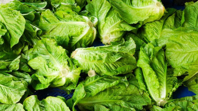 Makan Sayuran Ini untuk Bebas dari Pilek dan Flu